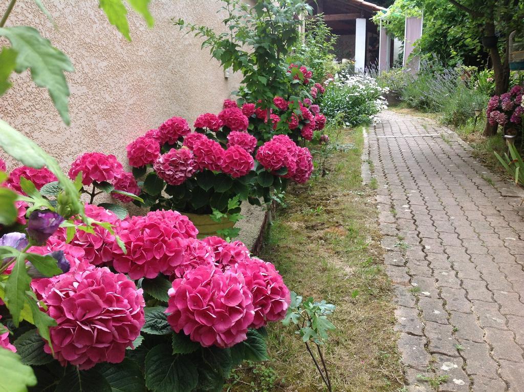 Bed & Breakfast Le Beausejour 카르카손 외부 사진